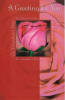 15 Pack Discount Valentine's Day Cards .99-$1.99 ea - Image 1 of 0