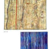 BOOK:  Stupdendous Stitching by Carol Waugh - Image 2 of 0