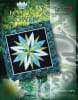 Lotus Flower Quilt Pattern by Judy Niemeyershows a blue and green center flower quilt in pretty batiks in shades of blue and green. - Image 1 of 0
