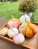 Fabric Pumpkins Pattern # SI-BP13 by Minki Kim - Image 4 of 0