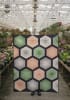 A large Oversized hexagon quilt is shown on the cover of this quilt pattern and features subtle , garden hues of greens, neutrals and peachy tones. - Image 3 of 0