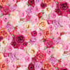 BELLEROSE Large Packed Rosesby Timeless Treasures shows a large packed rose floral in reds, pink and cream. - Image 2 of 0
