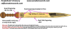 Old World Style Presentation Sword - Image 4 of 0