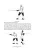Historical Fencing Manual: Rapier-Fencing in the 17th and 18th Centuries - Image 3 of 0