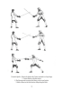 Historical Fencing Manual: Rapier-Fencing in the 17th and 18th Centuries - Image 4 of 0