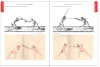 The Illustrated Fabris: A Visual Reference - Image 3 of 0