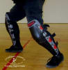 Red Dragon Shin Guards - Pair - Image 1 of 0