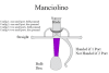 Sidesword, Manciolino - Image 2 of 0