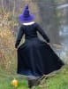 Late Medieval Linen Doublet with Puff Sleeves - Image 2 of 0