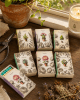 Tiny Potted Garden Mini Matchbox - Image 1 of 0