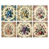 Berry Fairies Matchbox  Square - Image 1 of 0