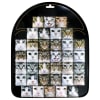 Cat Square Magnet Display - Image 1 of 0