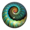 Nautilus Art Glass Paperweight - Image 1 of 0
