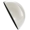Nautilus Art Glass Paperweight - Image 2 of 0