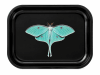 Luna Moth Solo Metal Tray - Image 1 of 0