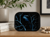 Raven Frost Flat Metal Tray - Image 2 of 0