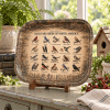 Backyard Birds Field Guide Metal Tray - Image 1 of 0