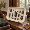 Victorian Beetle Cabinet Metal Tray - Image 1 of 0