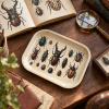 Victorian Beetle Cabinet Metal Tray - Image 2 of 0