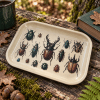 Victorian Beetle Cabinet Metal Tray - Image 3 of 0