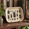 Victorian Beetle Cabinet Metal Tray - Image 4 of 0
