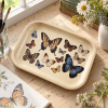 Butterflies of the Meadow Collector Metal Tray - Image 4 of 0