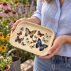 Butterflies of the Meadow Collector Metal Tray - Image 5 of 0
