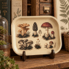 Woodland Mycology Specimen Metal Tray - Image 1 of 0