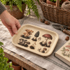 Woodland Mycology Specimen Metal Tray - Image 2 of 0