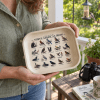 North American Birds Field Guide Metal Tray - Image 2 of 0
