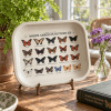 Winged Wonders North American Butterfly Metal Tray - Image 1 of 0