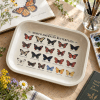 Winged Wonders North American Butterfly Metal Tray - Image 4 of 0