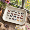 Winged Wonders North American Butterfly Metal Tray - Image 5 of 0
