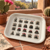 Desert Specimens North American Cacti Metal Tray - Image 2 of 0
