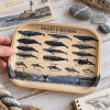 Ocean Giants Whales and Dolphins Metal Tray - Image 5 of 0
