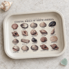 Tidepool Treasures Coastal Shell Field Guide Metal Tray - Image 2 of 0