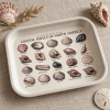 Tidepool Treasures Coastal Shell Field Guide Metal Tray - Image 3 of 0