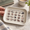Tidepool Treasures Coastal Shell Field Guide Metal Tray - Image 4 of 0
