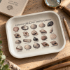 Tidepool Treasures Coastal Shell Field Guide Metal Tray - Image 5 of 0