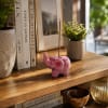 Baby Elephant Incense Holder Rainbow - Image 2 of 0