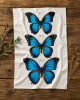 Blue Morpho Flour Sack Tea Towel - Image 1 of 0