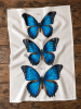 Blue Morpho Flour Sack Tea Towel - Image 2 of 0