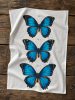 Blue Morpho Flour Sack Tea Towel - Image 4 of 0