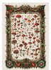 Tea Towel Art Nouveau Mushroom - Image 2 of 0