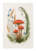 Tea Towel Mushroom Botanical - Image 3 of 0