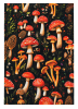 Tea Towel Dark Forest Mushroom - Image 3 of 0