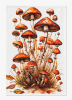 Tea Towel Fantasy Mushroom - Image 2 of 0
