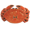 Crandon Crab Ceramic Tray - Image 2 of 0