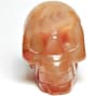 SK-32 50mm STONE SKULL IN CARNELIAN - Image 2 of 0