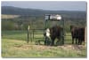 3-D Cattle Equipment, LLC - Image 2 of 0